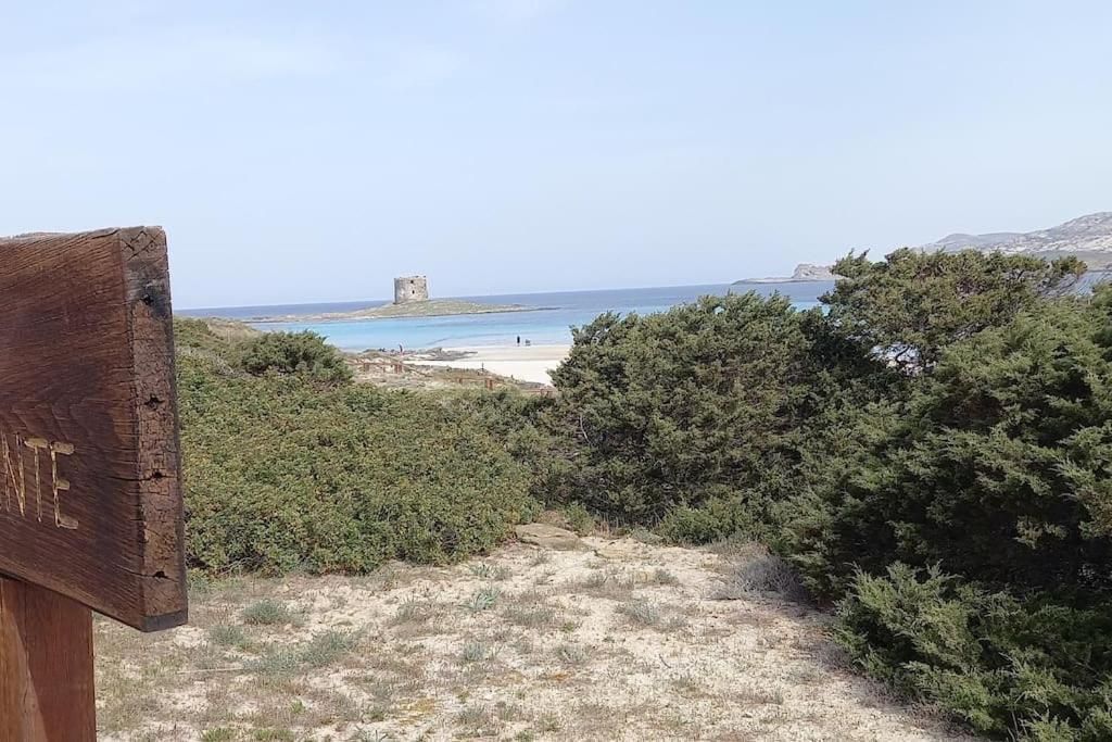 Casa Vacanze Con Giardino I Girasoli - Cin It 09006 - 9 C 2000 R4042- ソルソ エクステリア 写真