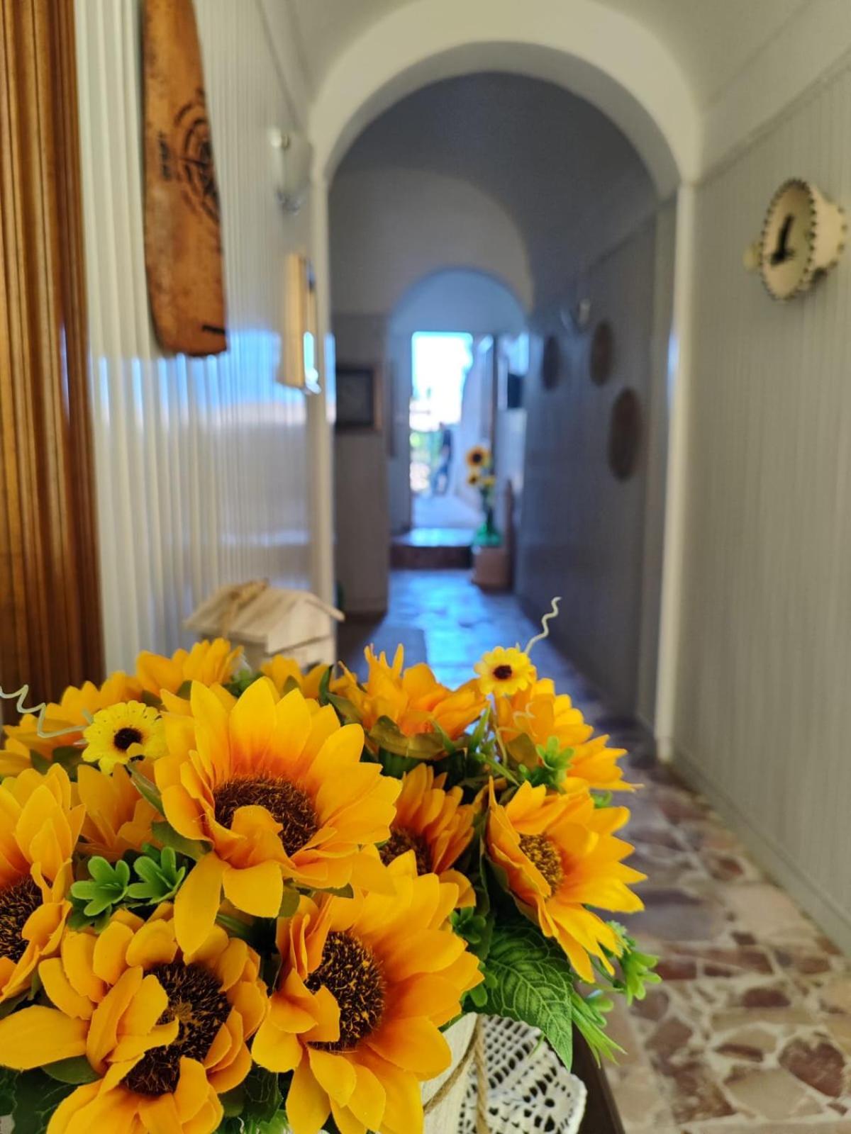 Casa Vacanze Con Giardino I Girasoli - Cin It 09006 - 9 C 2000 R4042- ソルソ エクステリア 写真