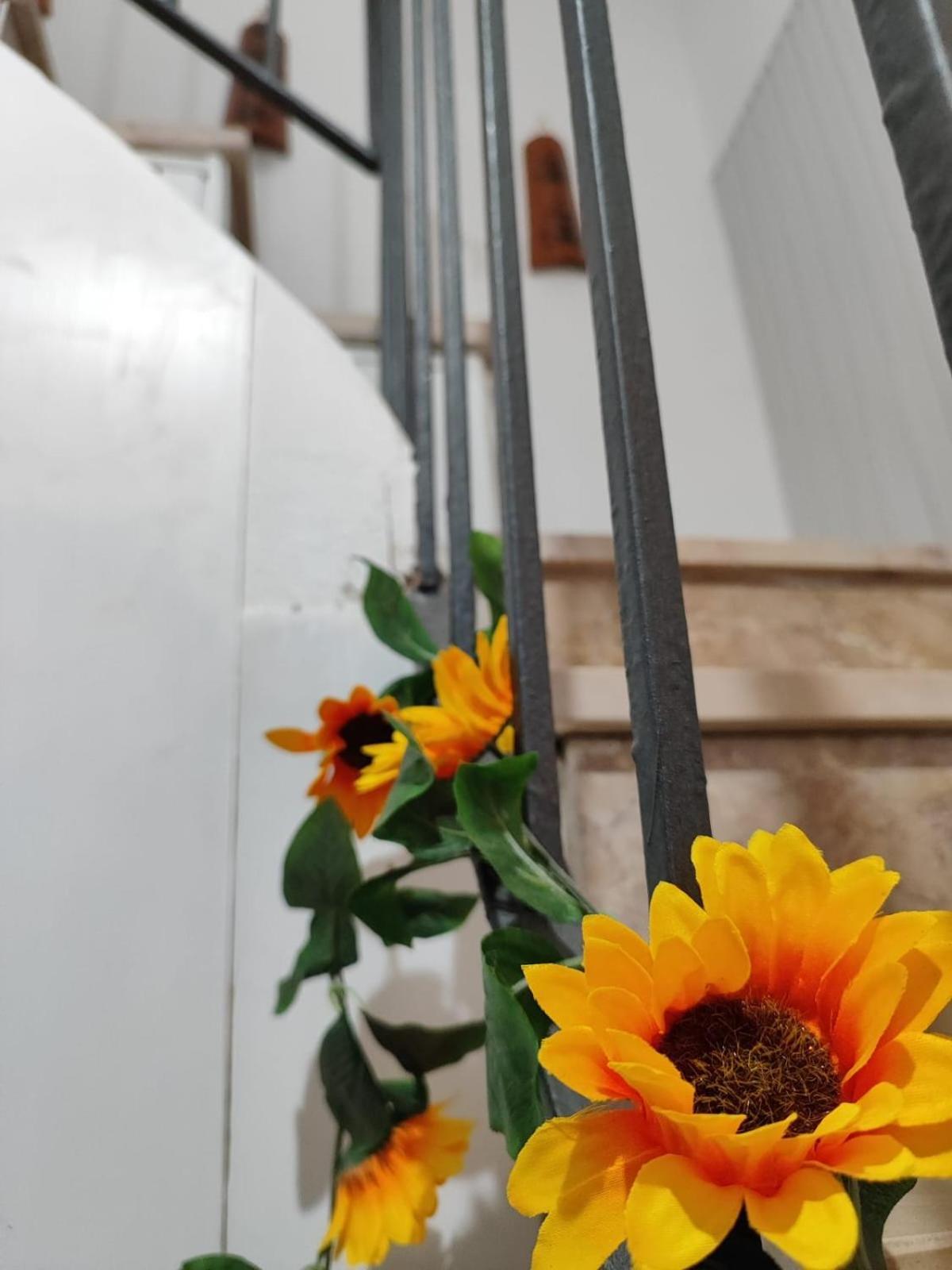 Casa Vacanze Con Giardino I Girasoli - Cin It 09006 - 9 C 2000 R4042- ソルソ エクステリア 写真